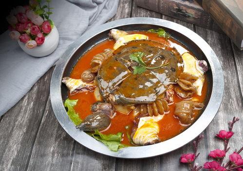 麻辣甲鱼爆料视频教程下载,轻松学会家常美味，一招解锁烹饪新境界